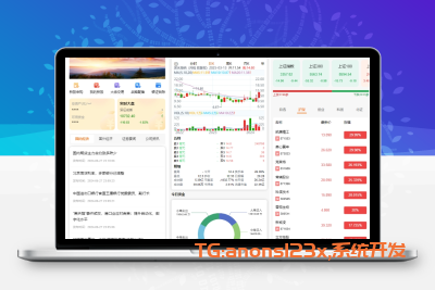 JAVA新股票系统/美股/外汇/期货/指数/英股/虚拟币全能股票系统源码