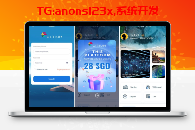 新版海外航空抢单刷单系统/订单自动匹配/带两套前端uinapp