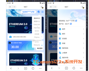 多语言DAPP源码BSC链USDT理财DEFI理财铸币质押矿NFT授权卡牌LP流动性
