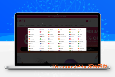 运营级跨境商城-成人用品商城源码