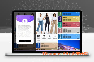 多语言海外抢单刷单系统/分组杀/打针做单/订单自动匹配系统