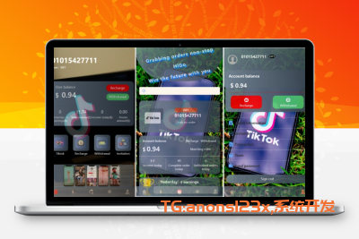 新版本海外tiktok多语言抢单刷单系统源码/带文本搭建教程