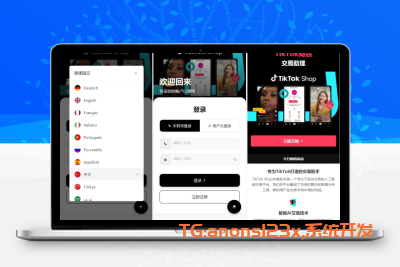 全新二开多语言TIKTOK抢单刷单系统/连单卡单/40单任务快杀/前端vue源码